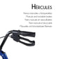 Andador ancianos | Plegable | Aluminio| Frenos en manetas | Asiento y respaldo | 4 ruedas | TOP | Hércules | Mobiclinic - MICO